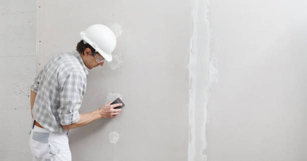 Best Biohazard Mold Removal  in New Castle, IN