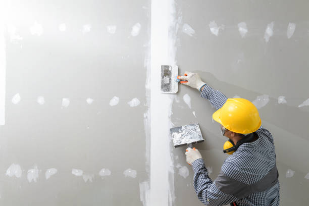 Trusted New Castle, IN Mold Removal Experts